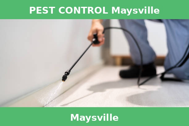 PEST CONTROL Maysville